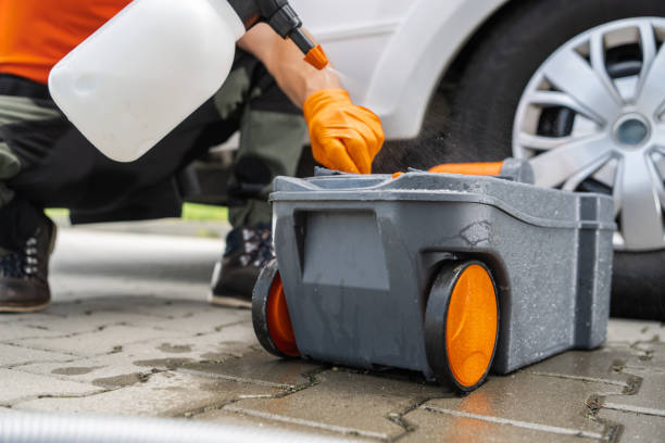 Best Storm Damage Tree Cleanup  in Sutter, CA